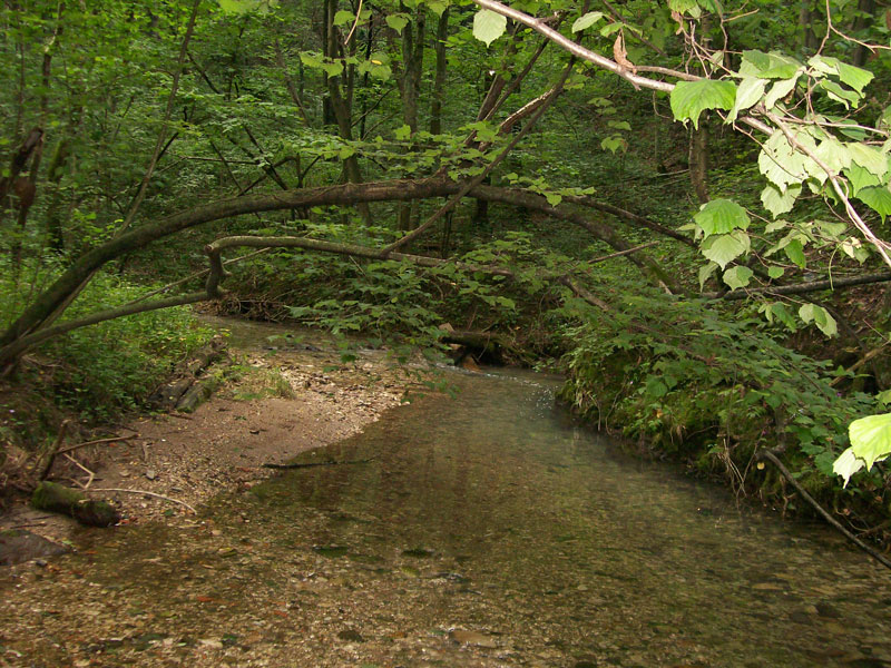 Consorzio del Fiume Olona